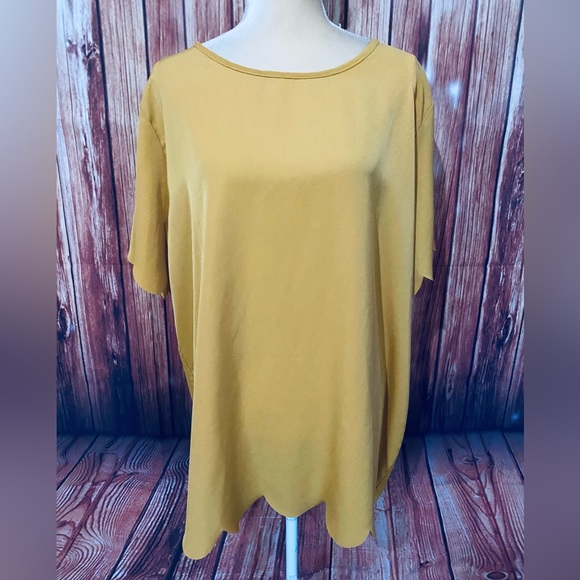 Women’s 3X Blouse Tickled Teal Mustard Short Sleeves U Neck Silky Ruffle Trim - Picture 2 of 12